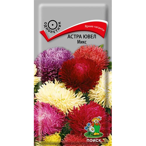Астра Ювел, смесь окрасок Поиск изображение 1 артикул 92893