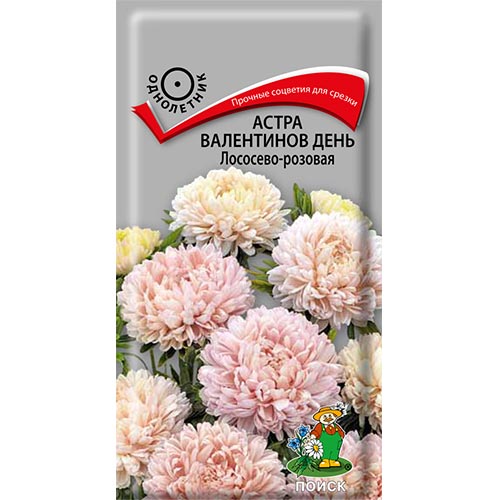 Астра Валентинов день Лососево-розовая Поиск изображение 1 артикул 92875