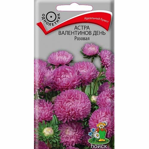 Астра Валентинов день розовая Поиск изображение 1 артикул 82031