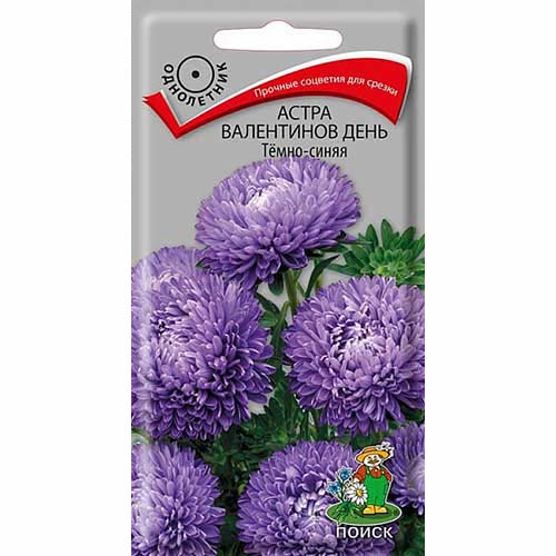 Астра Валентинов день темно-синяя Поиск изображение 1 артикул 82033