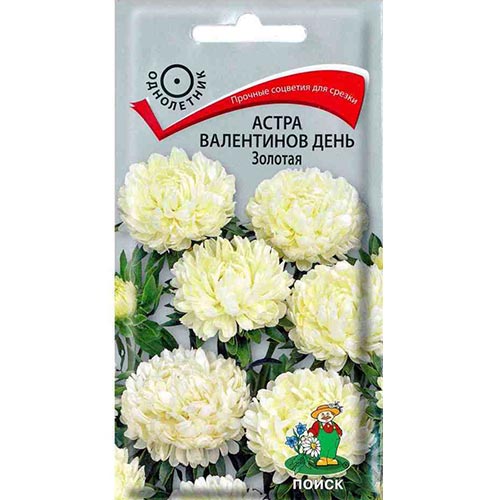 Астра Валентинов день Золотая Поиск изображение 1 артикул 92873