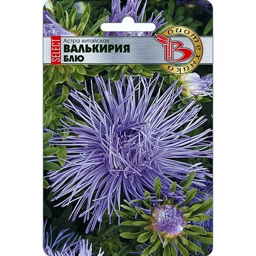 Астра Валькирия SELECT Блю Биотехника изображение 1 артикул 91544