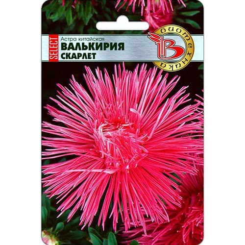 Астра Валькирия SELECT Скарлет Биотехника изображение 1 артикул 91546