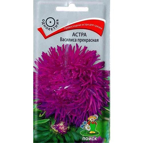 Астра Василиса прекрасная Поиск изображение 1 артикул 92876