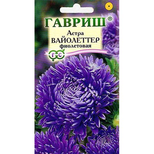 Астра Вайолеттер фиолетовая Гавриш изображение 1 артикул 91916