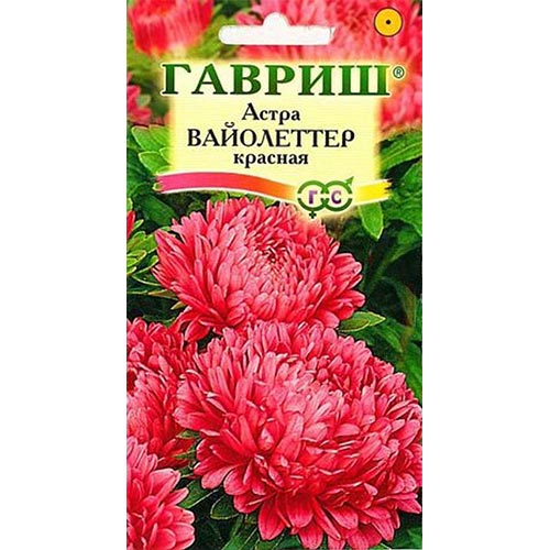 Астра Вайолеттер красная Гавриш изображение 1 артикул 91915