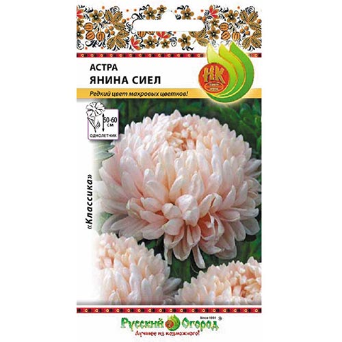 Астра Янина Сиел НК изображение 1 артикул 92456