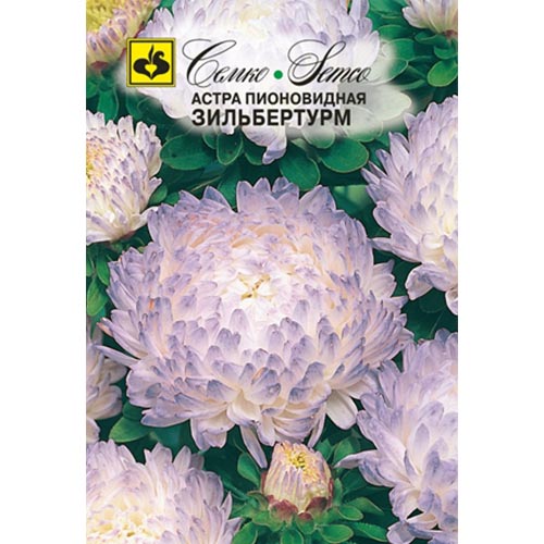 Астра Зильбертурм Семко изображение 1 артикул 94899