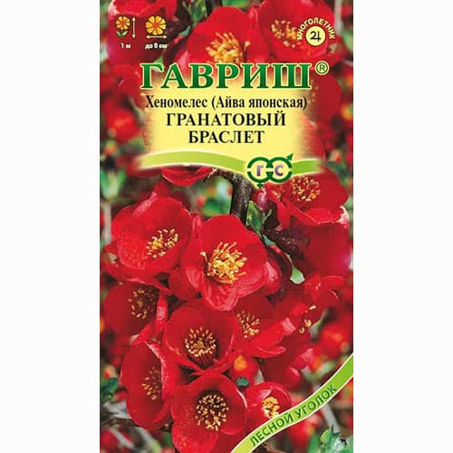 Айва японская Гранатовый браслет Гавриш изображение 1 артикул 71107