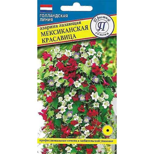 Азарина лазающая Мексиканская красавица, смесь окрасок Престиж изображение 1 артикул 73614
