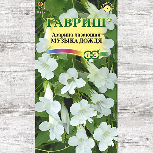 Азарина Музыка дождя Гавриш артикул фото 1 Азарина Музыка дождя Гавриш изображение 1 артикул 74943