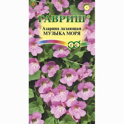 Азарина Музыка моря Гавриш изображение 1 артикул 74944