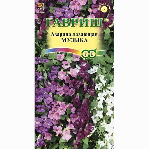 Азарина Музыка, смесь окрасок Гавриш изображение 1 артикул 74945