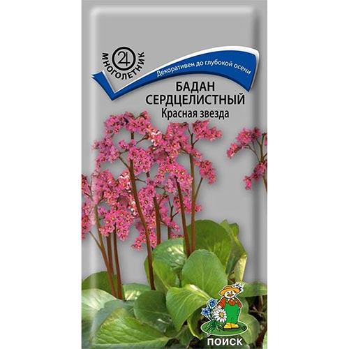 Бадан Красная звезда Поиск изображение 1 артикул 92895