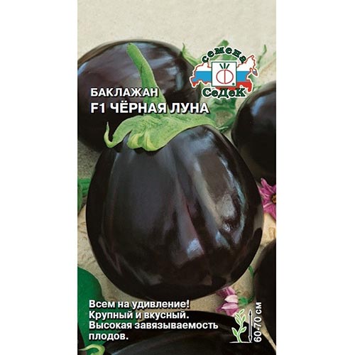 Баклажан Черная луна F1 Седек изображение 1 артикул 93282