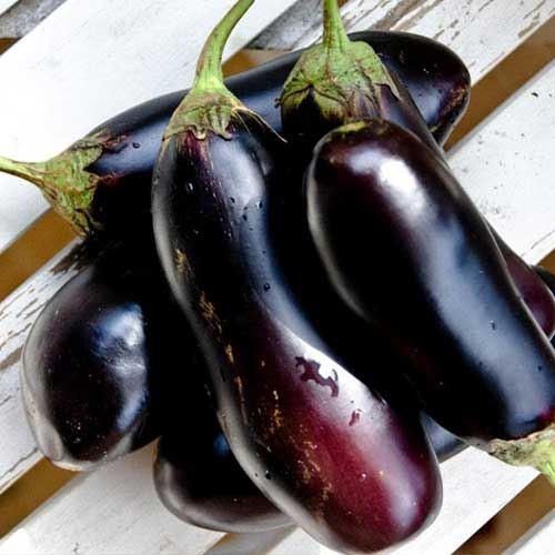 Баклажан Король рынка F1 Русский огород НК изображение 1 артикул 82754