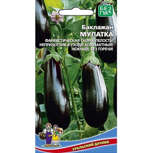 Баклажан Мулатка Уральский дачник изображение 1 артикул 94470