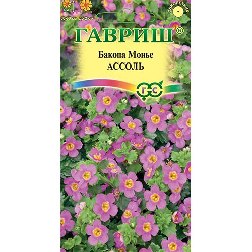 Бакопа Ассоль Гавриш изображение 1 артикул 91951