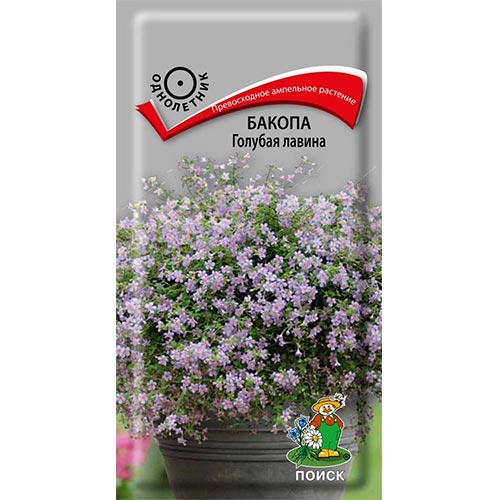 Бакопа Голубая лавина Поиск изображение 1 артикул 92896