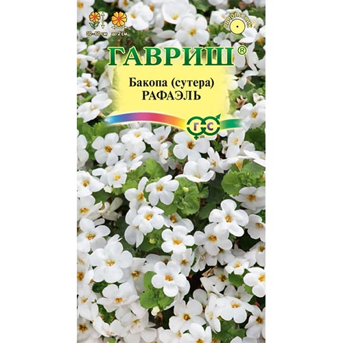 Бакопа Рафаэль Гавриш изображение 1 артикул 91952