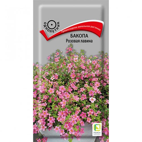 Бакопа Розовая лавина Поиск изображение 1 артикул 92897