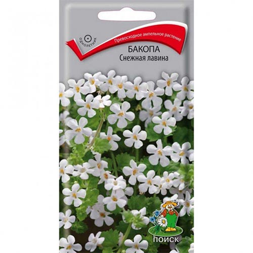 Бакопа Снежная лавина Поиск изображение 1 артикул 92898