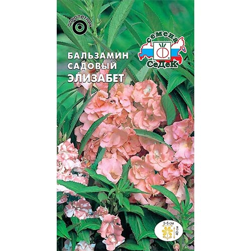 Бальзамин Элизабет Седек изображение 1 артикул 93659