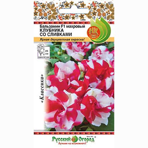 Бальзамин Клубника со сливками F1 Русский огород НК артикул фото 1 Бальзамин Клубника со сливками F1 Русский огород НК изображение 1 артикул 92460