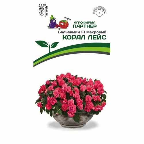 Бальзамин махровый Корал Лейс F1 Партнер изображение 1 артикул 88019