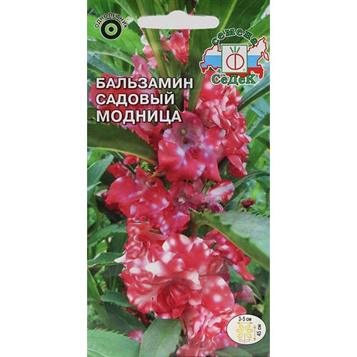 Бальзамин Модница Седек изображение 1 артикул 93656