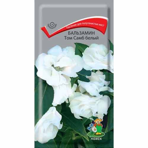 Бальзамин Том Самб белый Поиск изображение 1 артикул 82074