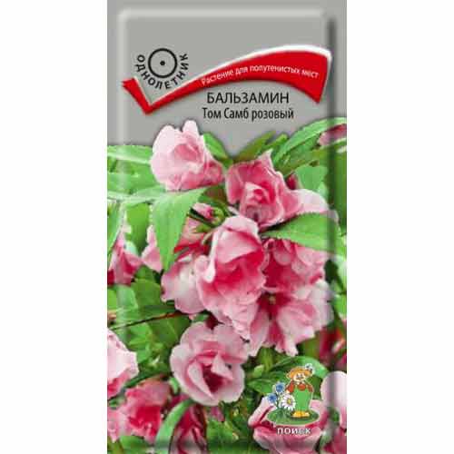 Бальзамин Том Самб розовый Поиск изображение 1 артикул 82075