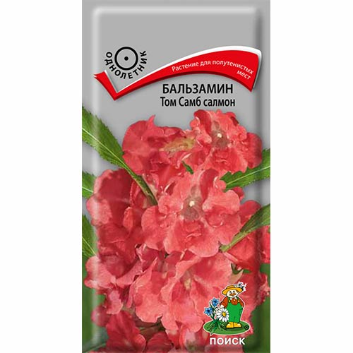 Бальзамин Том Самб Салмон Поиск изображение 1 артикул 82076