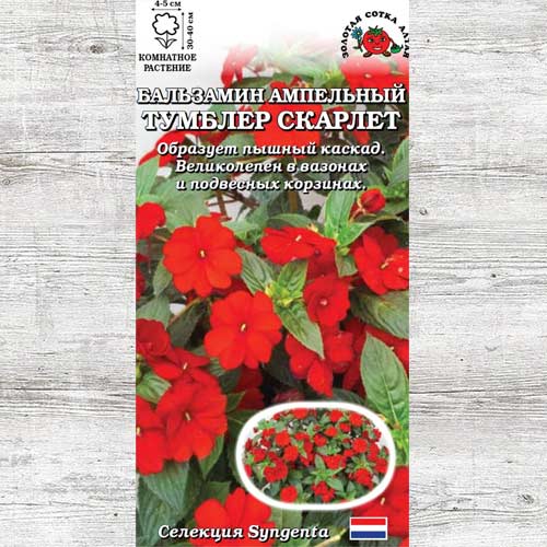 Бальзамин Тумблер Скарлет F1 изображение 1 артикул 83698