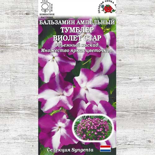 Бальзамин Тумблер Виолет Стар F1 изображение 1 артикул 83696