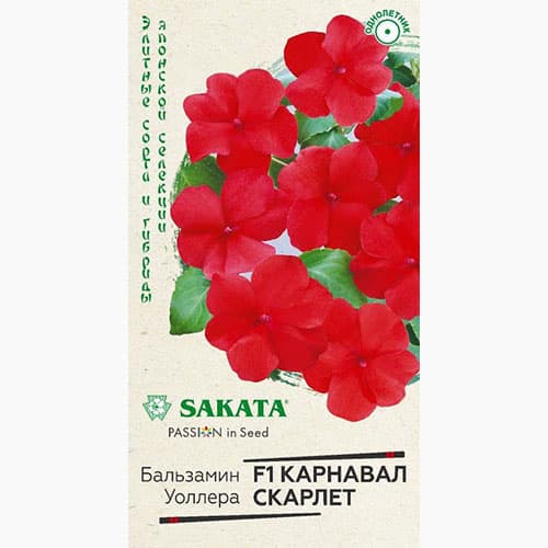 Бальзамин Уоллера Карнавал Скарлет F1 Гавриш изображение 1 артикул 97595