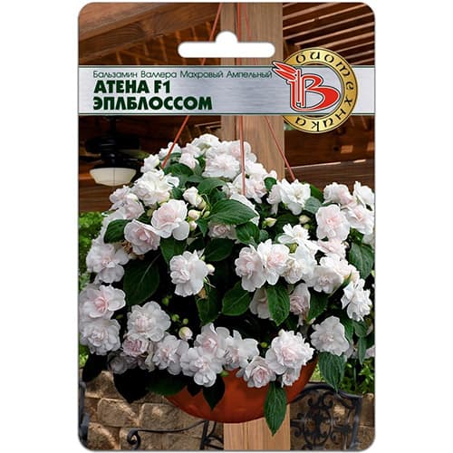 Бальзамин Валлера махровый ампельный Атена Эплблоссом F1 Биотехника изображение 1 артикул 97327