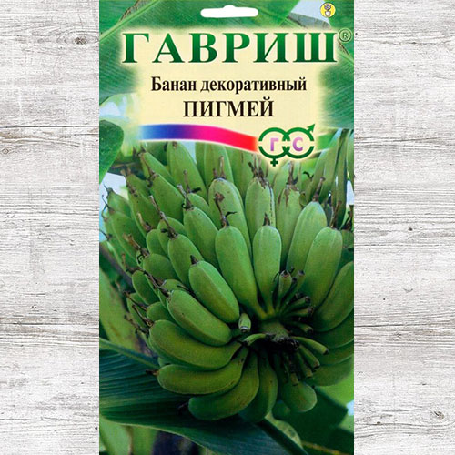 Банан Басио декоративный Пигмей Гавриш артикул фото 1 Банан Басио декоративный Пигмей Гавриш изображение 1 артикул 85029