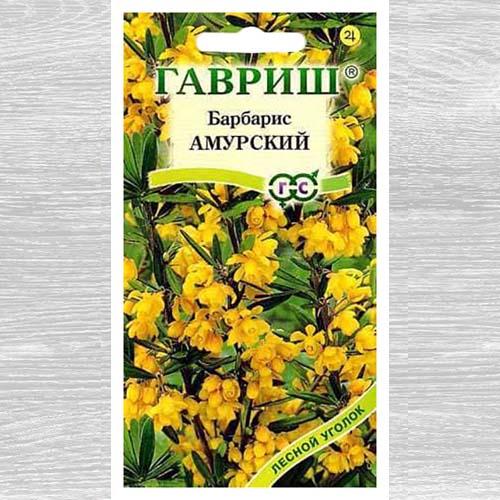 Барбарис амурский изображение 1 артикул 73712