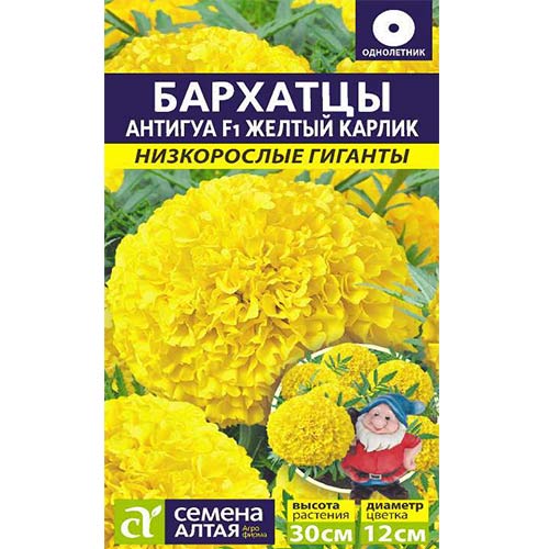 Бархатцы Антигуа Желтый карлик F1 Семена Алтая артикул фото 1 Бархатцы Антигуа Желтый карлик F1 Семена Алтая изображение 1 артикул 81616