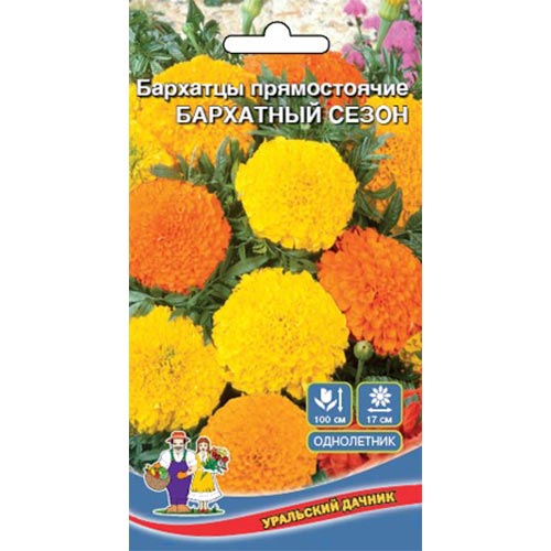 Бархатцы Бархатный сезон Уральский дачник изображение 1 артикул 94763