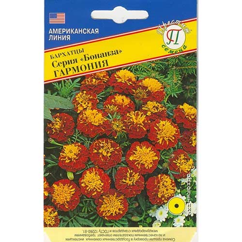 Бархатцы Бонанза Гармония Престиж артикул фото 1 Бархатцы Бонанза Гармония Престиж изображение 1 артикул 81302