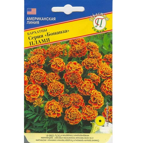 Бархатцы Бонанза Пламя Престиж артикул фото 1 Бархатцы Бонанза Пламя Престиж изображение 1 артикул 81305