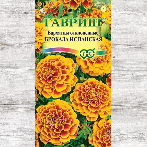 Бархатцы Брокада испанская Гавриш артикул фото 1 Бархатцы Брокада испанская Гавриш изображение 1 артикул 73804