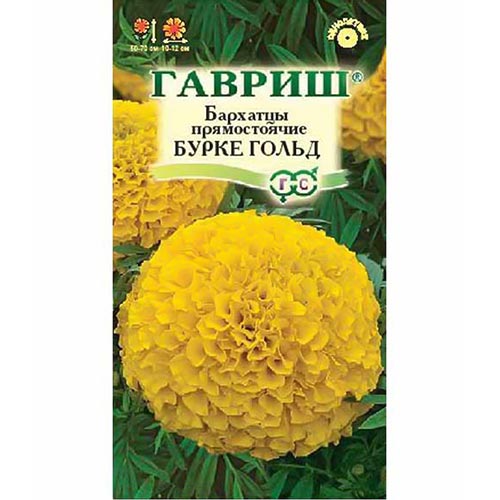 Бархатцы Бурке Голд Гавриш изображение 1 артикул 91959