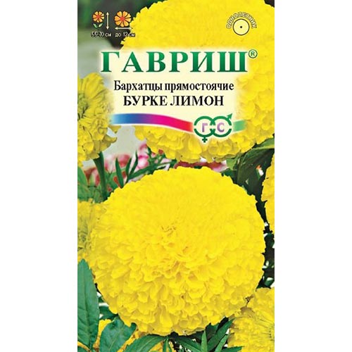 Бархатцы Бурке Лимон Гавриш изображение 1 артикул 91960