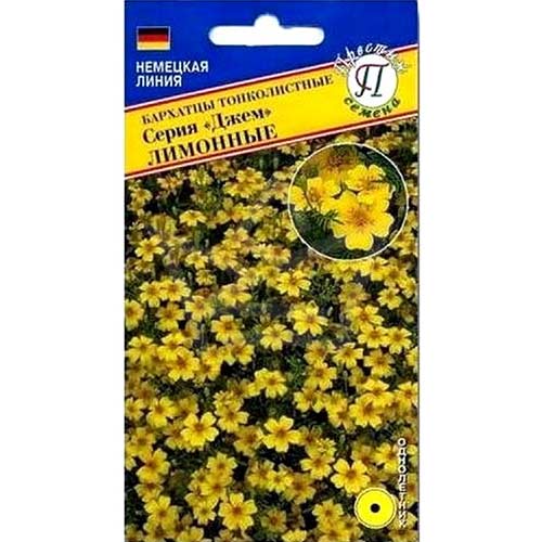 Бархатцы Джем Лимонные Престиж артикул фото 1 Бархатцы Джем Лимонные Престиж изображение 1 артикул 81307