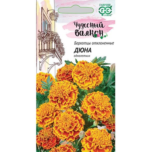 Бархатцы Дюна Гавриш изображение 1 артикул 91963