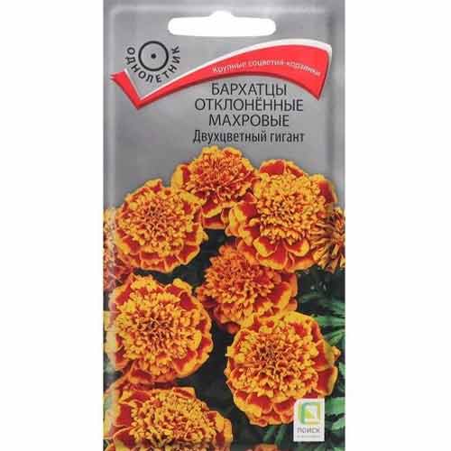 Бархатцы Двухцветный гигант Поиск артикул фото 1 Бархатцы Двухцветный гигант Поиск изображение 1 артикул 92905