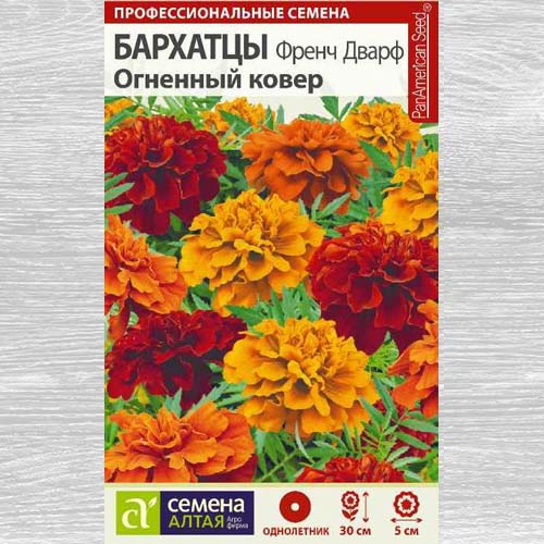 Бархатцы Френч Дварф Огненный ковер, смесь окрасок артикул фото 1 Бархатцы Френч Дварф Огненный ковер, смесь окрасок изображение 1 артикул 78130